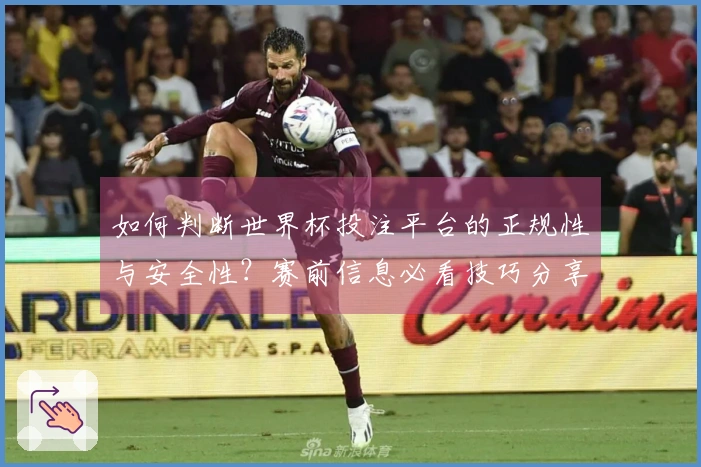 如何判断世界杯投注平台的正规性与安全性？赛前信息必看技巧分享