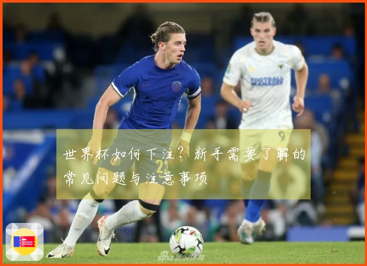 世界杯如何下注?新手需要了解的常见问题与注意事项