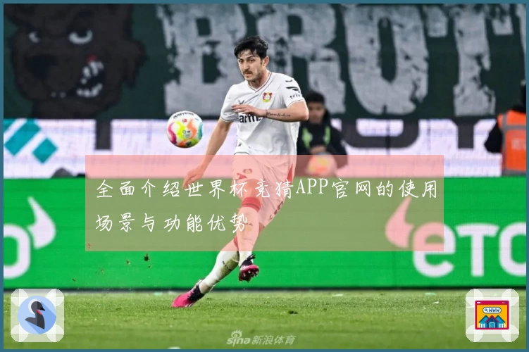 全面介绍世界杯竞猜APP官网的使用场景与功能优势