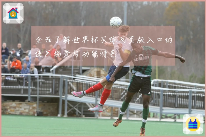 全面了解世界杯买球网页版入口的使用场景与功能特色