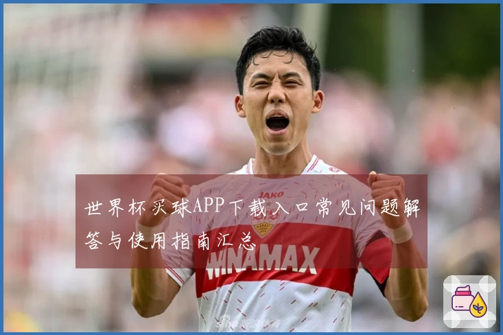 世界杯买球APP下载入口常见问题解答与使用指南汇总