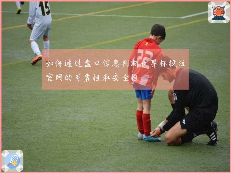 如何通过盘口信息判断世界杯投注官网的可靠性和安全性