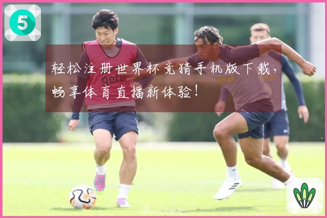 轻松注册世界杯竞猜手机版下载，畅享体育直播新体验！