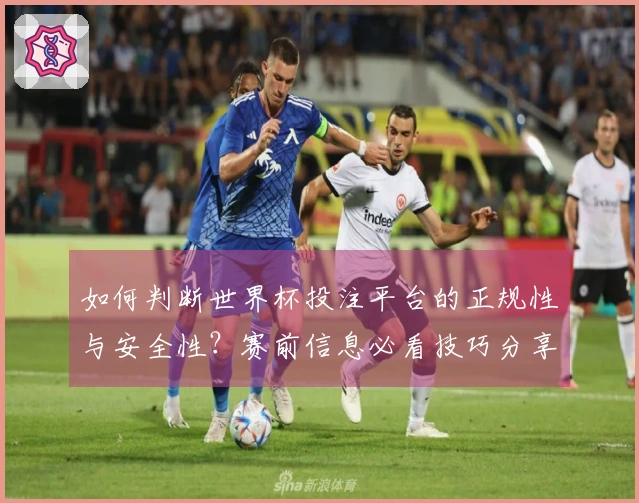 如何判断世界杯投注平台的正规性与安全性？赛前信息必看技巧分享