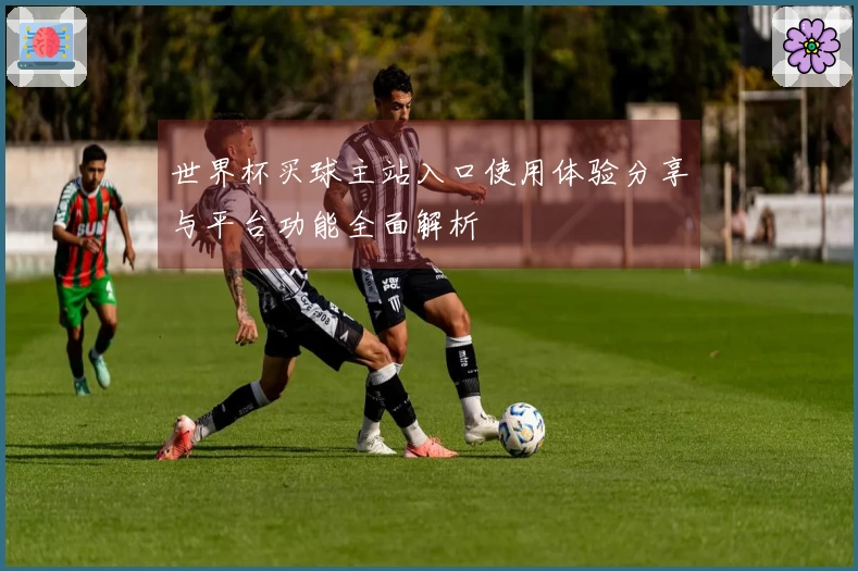 世界杯买球主站入口使用体验分享与平台功能全面解析