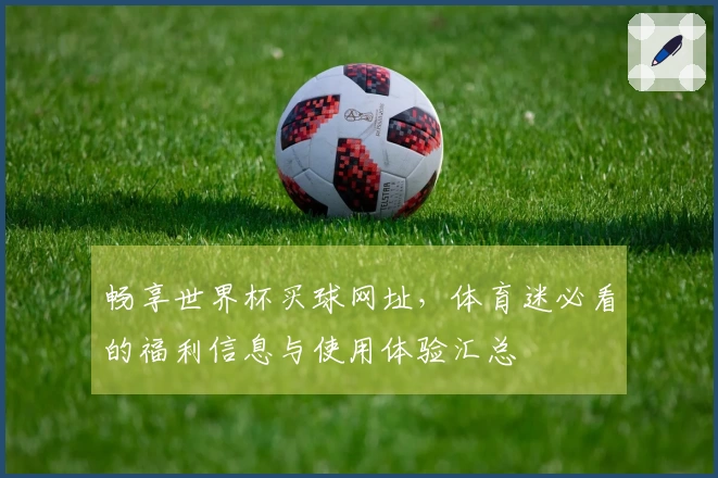 畅享世界杯买球网址，体育迷必看的福利信息与使用体验汇总