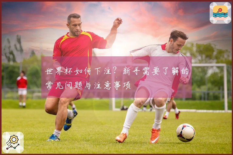 世界杯如何下注？新手需要了解的常见问题与注意事项