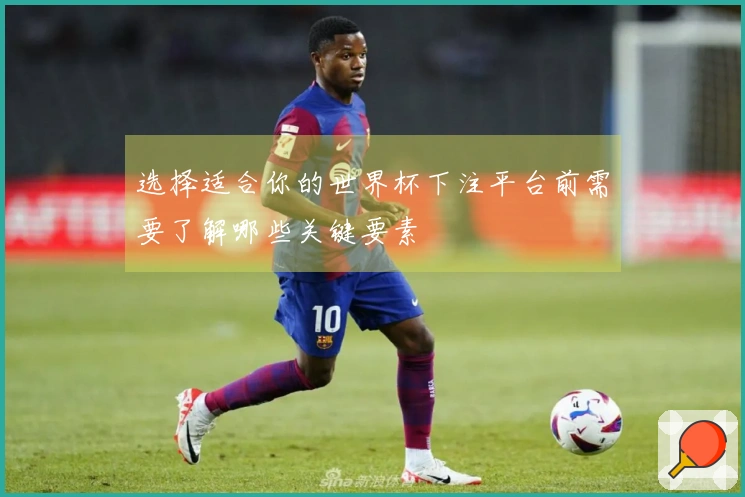 选择适合你的世界杯下注平台前需要了解哪些关键要素
