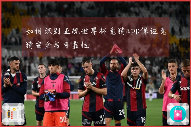 如何识别正规世界杯竞猜app保证竞猜安全与可靠性