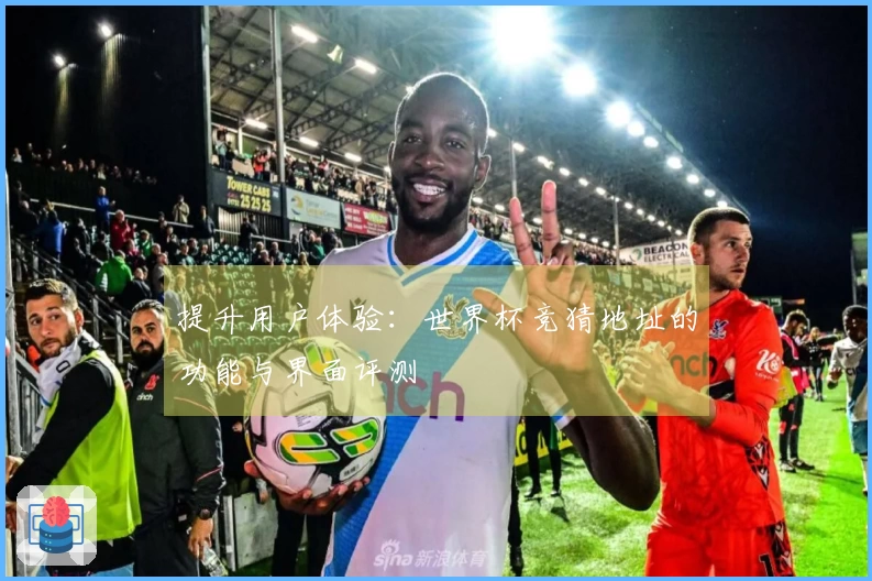 提升用户体验：世界杯竞猜地址的功能与界面评测