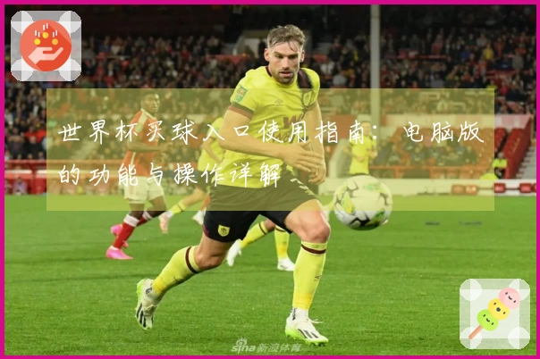 世界杯买球入口使用指南：电脑版的功能与操作详解