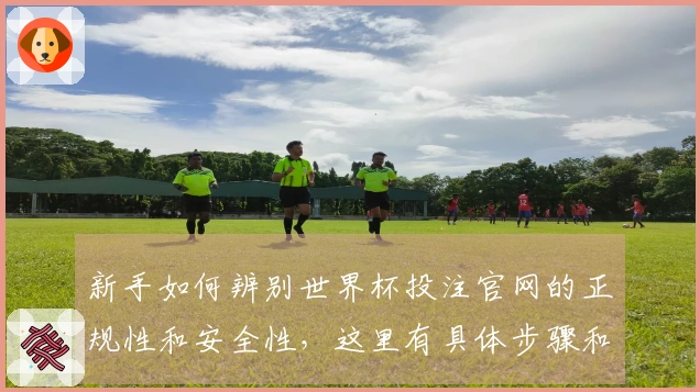 新手如何辨别世界杯投注官网的正规性和安全性，这里有具体步骤和注意事项