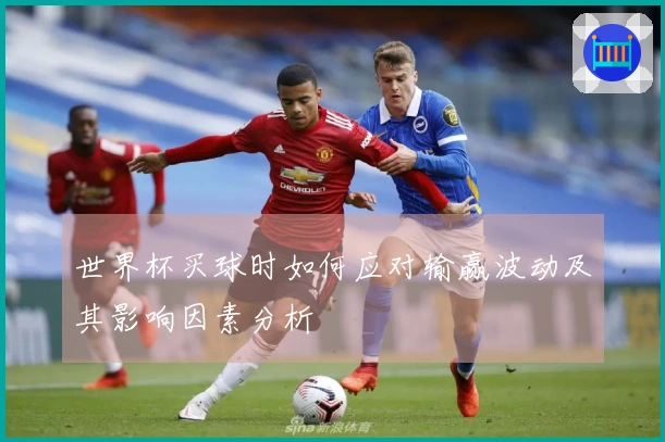 世界杯买球时如何应对输赢波动及其影响因素分析