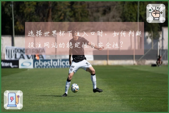 选择世界杯下注入口时，如何判断投注网站的稳定性与安全性？